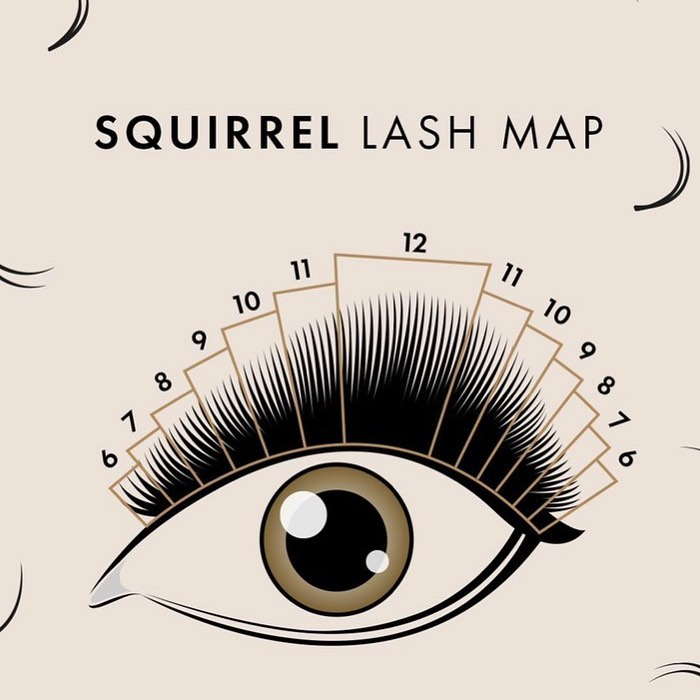Squirrel Lash map