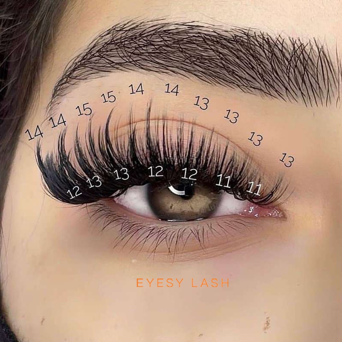 cat eye hybrid lash extensions